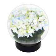 ACHLA Flower Aquarium 8in Glass Plant Stand | Clear Glass Vase with Snap Seal | Wedding Centerpiece & Tabletop Decor | 8 x 8 x 8 in | Model FLAQ-01