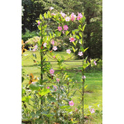 ACHLA Ferro Firenze Trellis II 29in Wrought Iron Garden Trellis | Roman Bronze Powder Coat | Climbing Plants & Garden Accent | Model FT-28