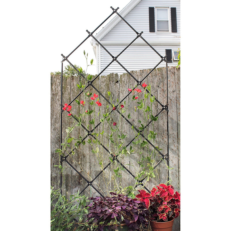 ACHLA Lattice Trellis 36in W x 95in H Free Standing | Graphite Powder Coated Iron | Outdoor Privacy Screen & Garden Support | Model FT-30