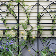 ACHLA Aurora Trellis Center Link | Black Powdercoat Wrought Iron | Garden & Patio Plant Support | 86 in H, Connects Modular Trellises | Model FT-34