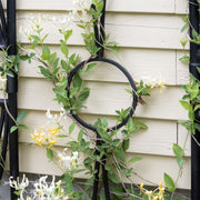 ACHLA Aurora Trellis Center Link | Black Powdercoat Wrought Iron | Garden & Patio Plant Support | 86 in H, Connects Modular Trellises | Model FT-34