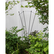ACHLA Fan Trellis I | Iron Graphite Garden Trellis | Climbing Plants & Cottage Garden Support | 38 x 56 x 0.5 in | Model FT-37G