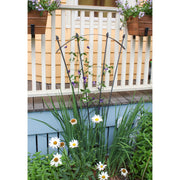 ACHLA Fan Trellis I | Iron Graphite Garden Trellis | Climbing Plants & Cottage Garden Support | 38 x 56 x 0.5 in | Model FT-37G