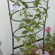 ACHLA Ovals Trellis 61in H | Wrought Iron Black Powdercoat | Garden & Patio Climbing Plant Support | 30 x 30 x 61 in | Model FT-66