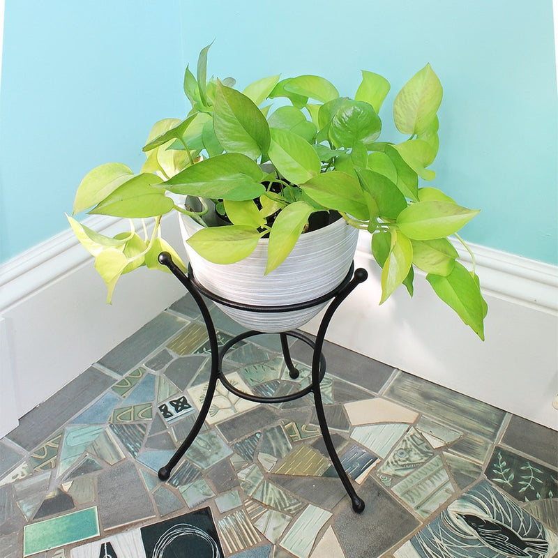 ACHLA 8in Ball Stand | Wrought Iron Black Powder Coat | Garden Pedestal & Birdbath Base | 9 x 9 x 11.25 in | Model GBS-20
