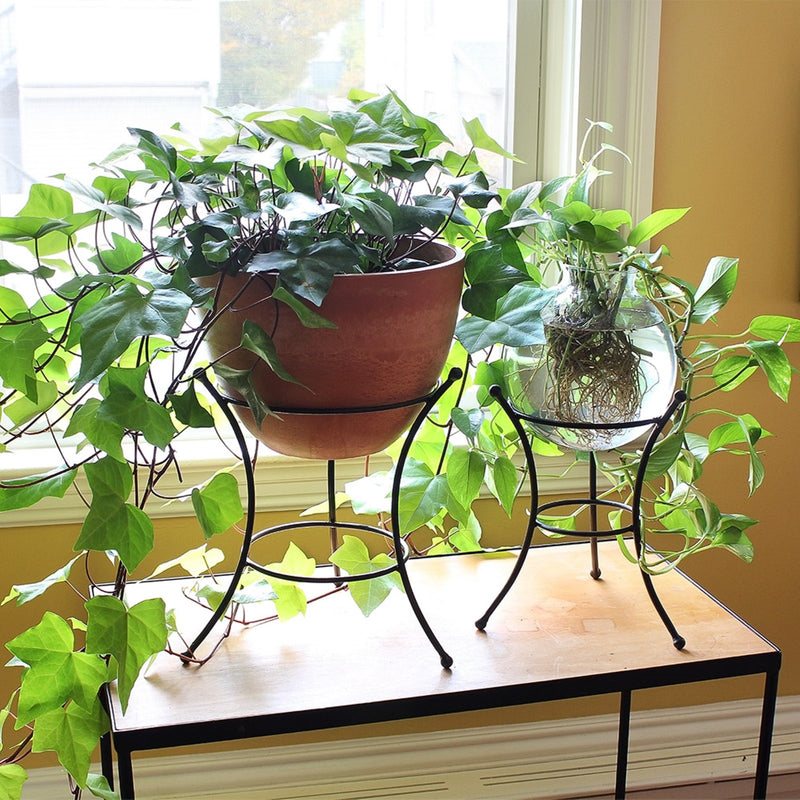 ACHLA 8in Ball Stand | Wrought Iron Black Powder Coat | Garden Pedestal & Birdbath Base | 9 x 9 x 11.25 in | Model GBS-20