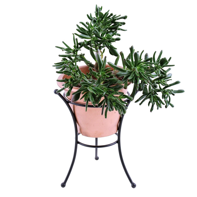 ACHLA 10in Ball Stand | Wrought Iron Black Powder Coat | Garden Pedestal & Birdbath Base | 9 x 9 x 14 in | Model GBS-21