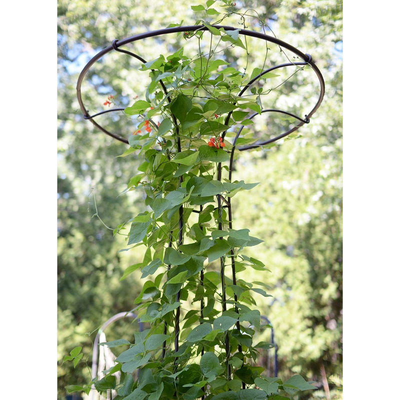 ACHLA Mushroom Trellis I 36in Dia Garden Trellis | Roman Bronze Wrought Iron | Outdoor Vine & Climbing Plant Support | 36 x 36 x 72 in | Model PYL-09
