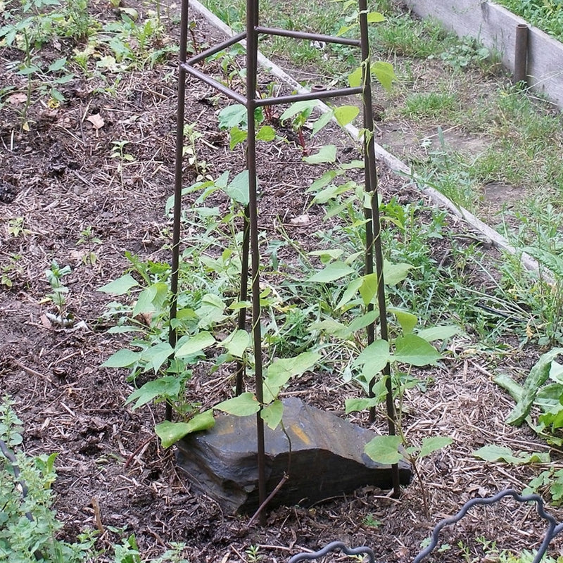 ACHLA Mushroom Trellis I 36in Dia Garden Trellis | Roman Bronze Wrought Iron | Outdoor Vine & Climbing Plant Support | 36 x 36 x 72 in | Model PYL-09