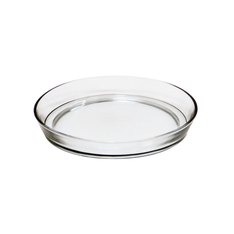 ACHLA Small Glass Terrarium Tray | Clear Glass Saucer | Plant Pot Drip Tray & Tabletop Decor | 8.75 x 8.75 x 1.5 in | Model TRY-01