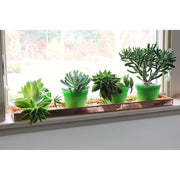 ACHLA Long Tray 29in | Copper-Plated Stainless Steel | Plant Pot Grouping & Table Protection | 29 x 5 x 2 in | Model TRY-C29