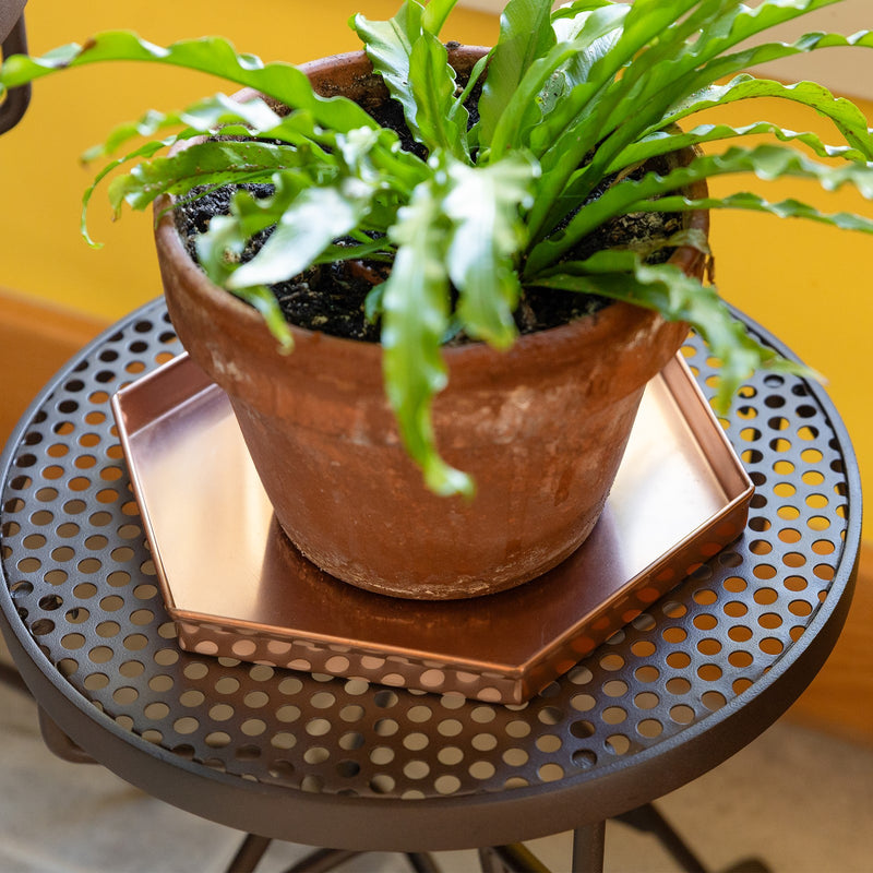 ACHLA Hexagonal Trays Set of 3 | Copper Plated Stainless Steel | Serving & Plant Tray for Kitchen, Coffee Table & Patio | 9 x 8 x 1 in | Model TRY-H9