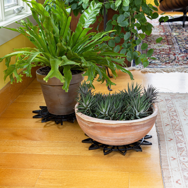 ACHLA 12in Flower Wrought Iron Trivet Set of 2 | Black Powdercoat Cast Iron | Indoor & Outdoor Plant Stand | 12 x 12 x 1 in | Model TWI-06L-2