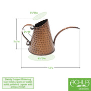 ACHLA Dainty Copper Watering Can | Hammered Copper Finish | Indoor & Outdoor Plant Care | 6.5in Dia x 7.5in H, 3 Pint Capacity | Model WC-06