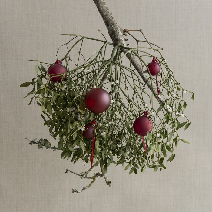 Blomus Juhla Matte Glass Ornament, Port/Burgundy, Set Of 4