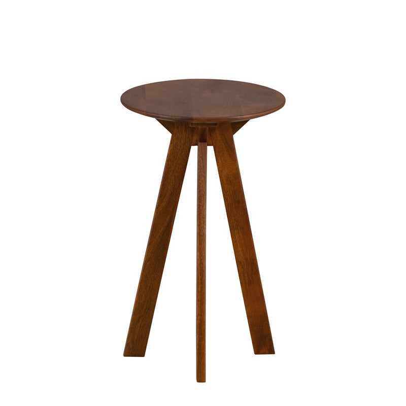 Canarm Charlie 20 X 12" Side Table, Mango Wood