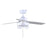 Canarm Attley 2 Light 42" Ceiling Fan, Black