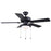 Canarm Eclipse 2 Light 42" Ceiling Fan, Matte Black/Black - CF42ECL5BK