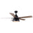 Canarm Lyric 2 Light 52" Ceiling Fan, Matte Black/Brown