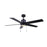 Canarm Rhonda 1 Light 52" Ceiling Fan, Brushed Nikel/Black - CF52ROM5BK-ES
