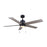 Canarm Rhonda 1 Light 52" Ceiling Fan, Brushed Nikel/Black