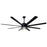 Canarm Ezra 1 Light 72" Ceiling Fan, Black/Black - CP72EZR8BK-W
