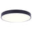 Canarm Madison LED 10" Flush Mount, Black/PVC lens