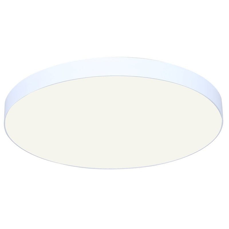 Canarm Madison LED 12" Disc Light, White/PVC lens