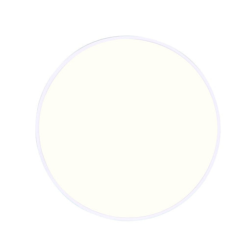 Canarm Madison LED 12" Disc Light, White/PVC lens