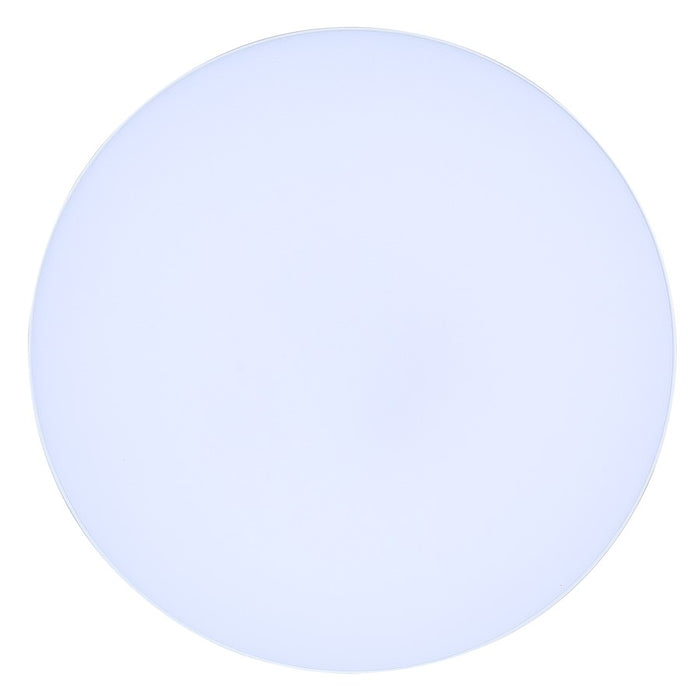 Canarm Madison LED 12" Disc Light, White/PVC lens