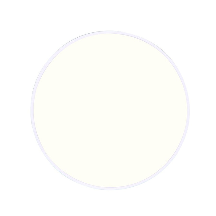 Canarm Madison 14" Disc Light, White/PVC lens