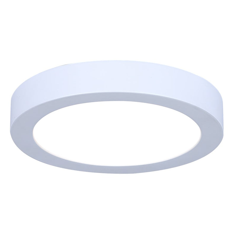 Canarm Madison 5.3" Disc Light, White/PVC Lens
