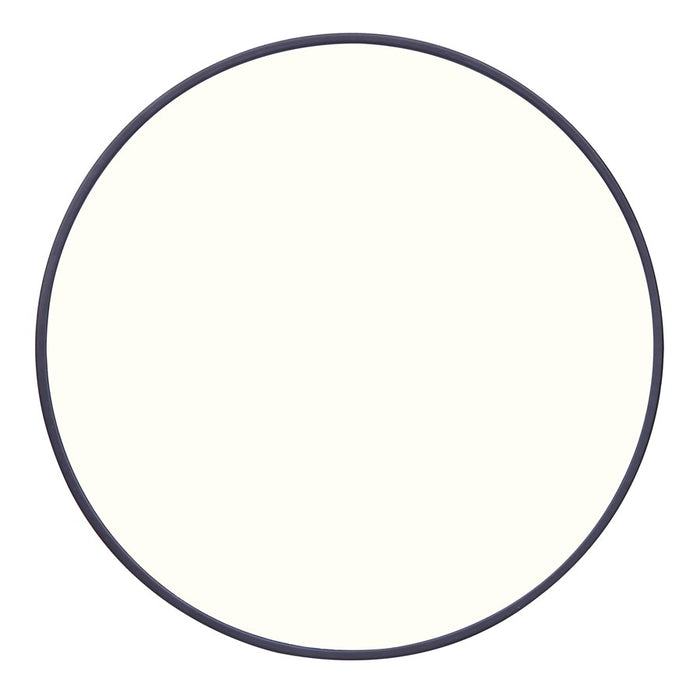 Canarm Madison LED 6" Flush Mount, White