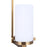 Canarm Kinslea 5 Light 25.63" Chandelier, Gold