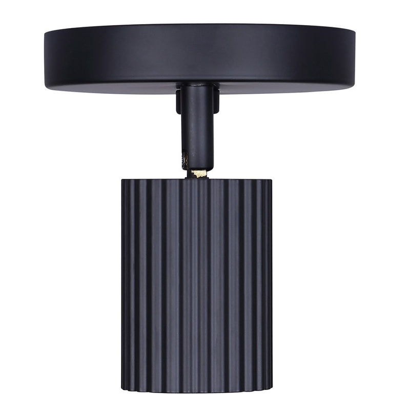 Canarm Rexton 2 Light, Black