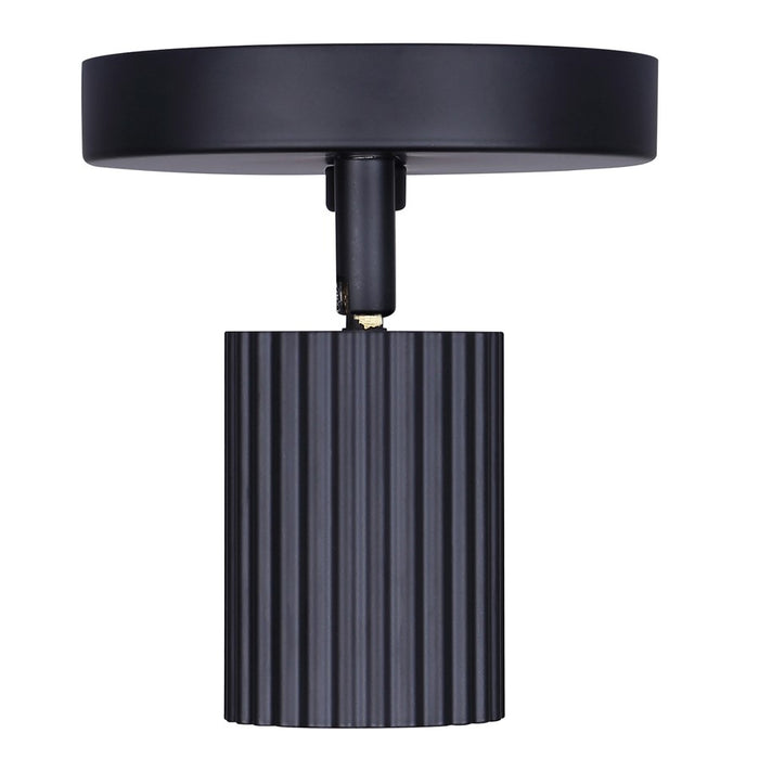 Canarm Rexton 2 Light, Black