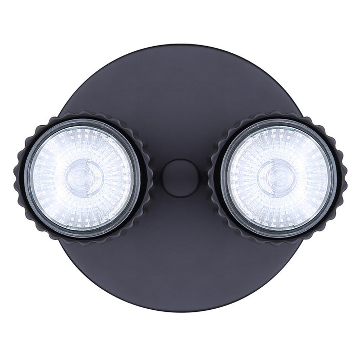 Canarm Rexton 2 Light, Black