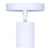 Canarm Rexton 2 Light, White