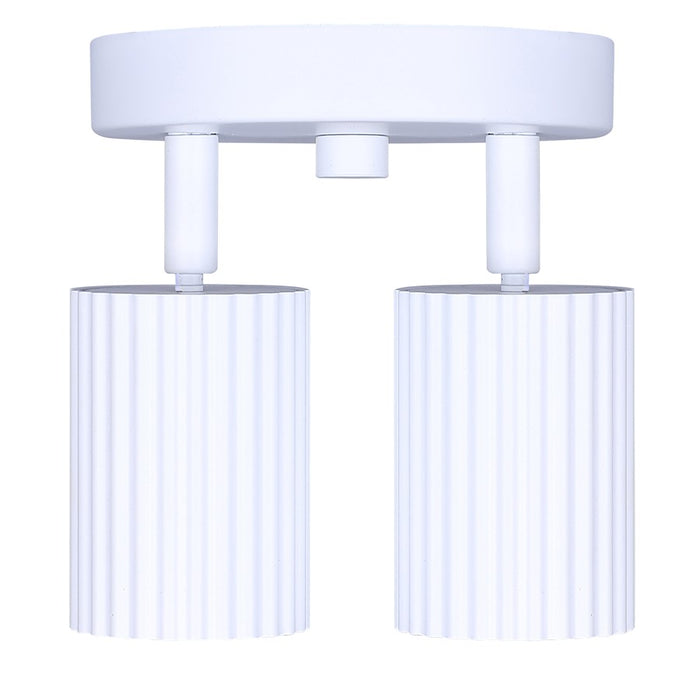 Canarm Rexton 2 Light, White