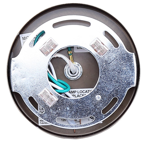 Canarm Elsee 1 Light Track Lighting, Black/Gold