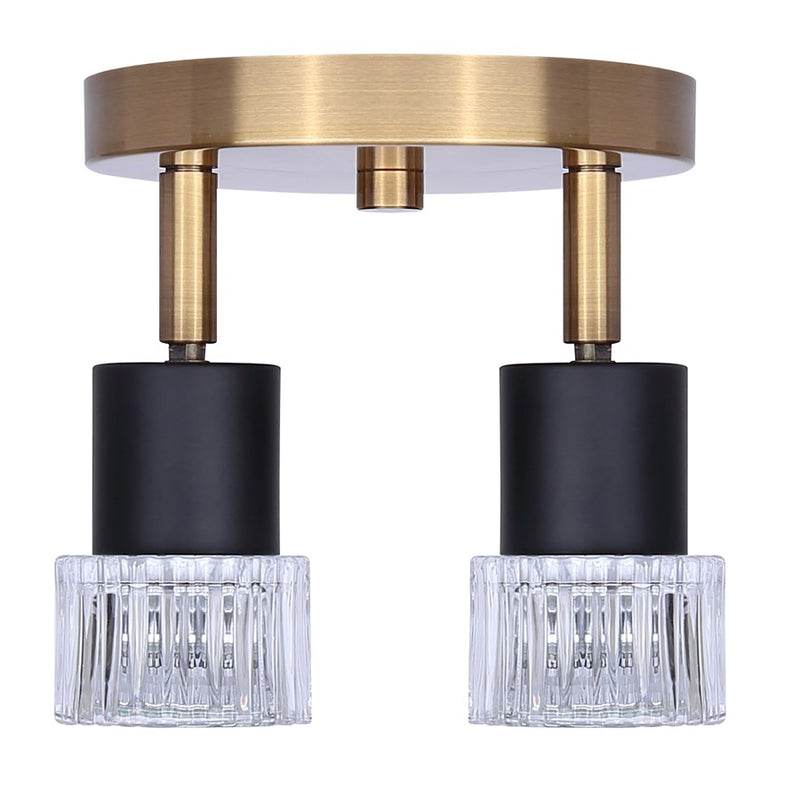 Canarm Elsee 2 Light Track Lighting, Black/Gold