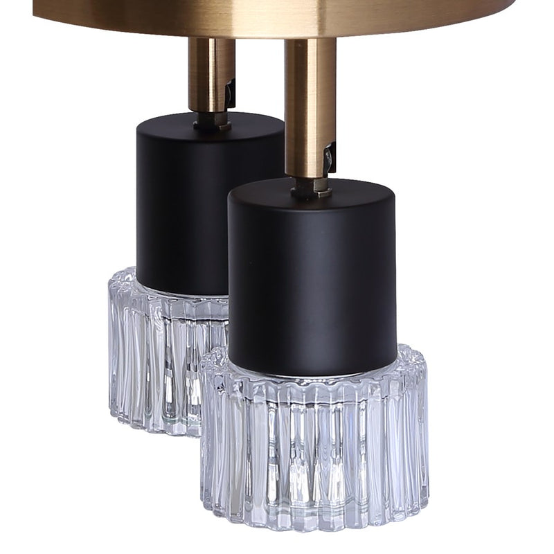 Canarm Elsee 2 Light Track Lighting, Black/Gold