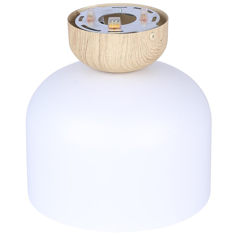 Canarm Caleb 1 Light 9" Flush Mount, Matte White