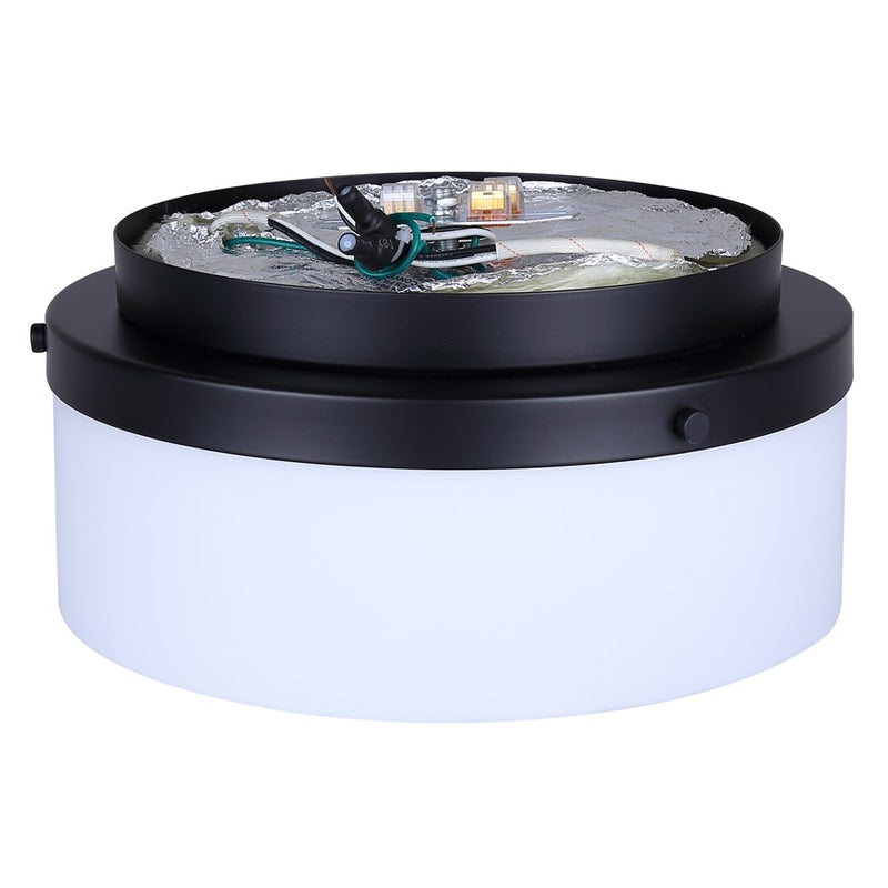 Canarm Malloy 2 Light 12.25" Flush Mount, Black