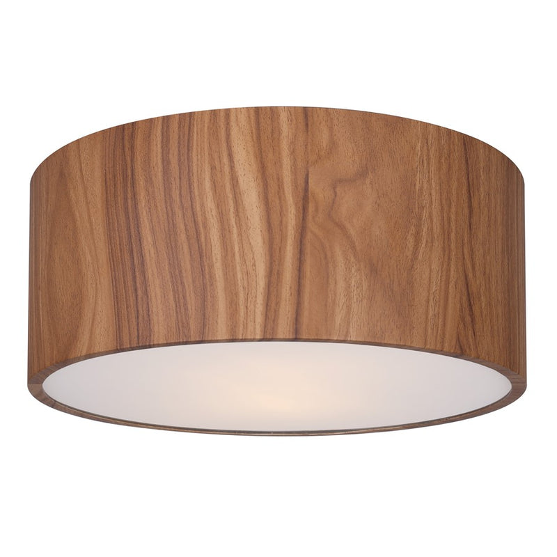 Canarm Dexter 2 Light 13" Flush Mount, Matte Black
