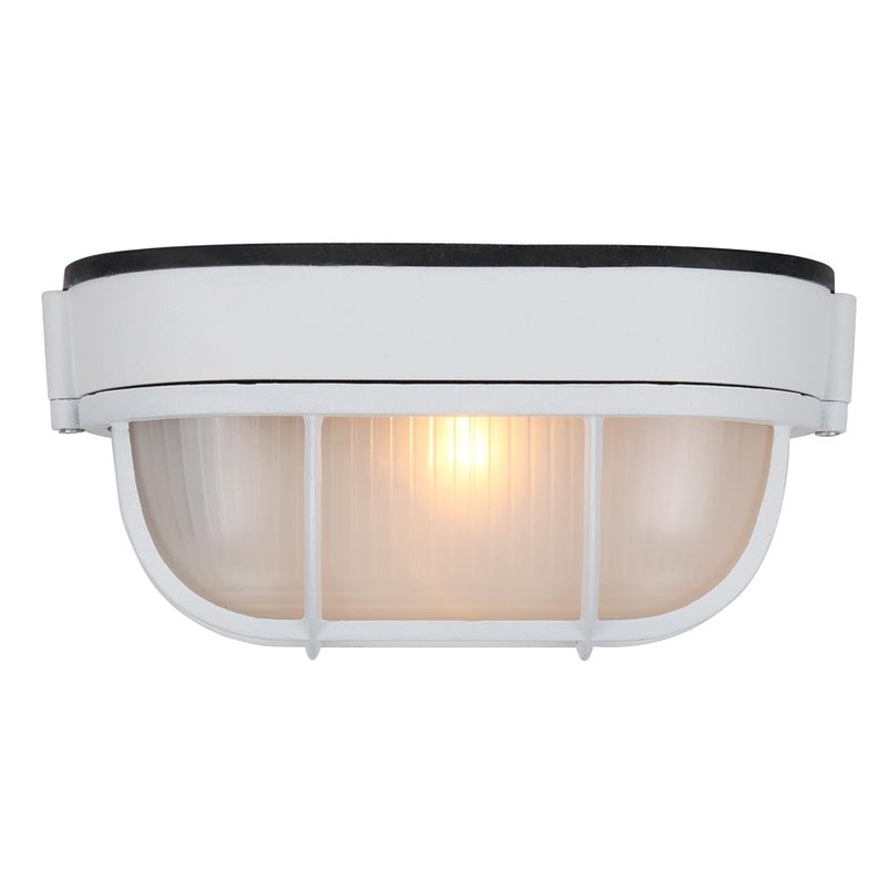 Canarm Marine 1 Light 4.38" Outdoor Lantern, White/Frosted