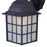 Canarm Madison 1 Light Outdoor Lantern, Black