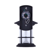 Canarm Treehouse 10in 1-Light Outdoor Wall Sconce | Black Metal and Clear Glass | Porch & Patio | 6 x 7.5 x 9.75 in | Model IOL315BK