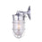 Canarm Signature 1 Light 10" Outdoor Lantern, Clear
