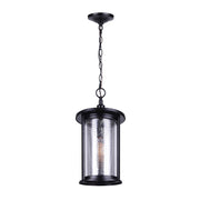 Canarm Julee 9.5in 1-Light Outdoor Pendant | Industrial Matte Black and Chrome Mesh Glass | Covered Patio & Entryway | Model IOL525BKC